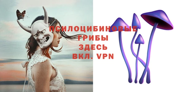 гашик Струнино