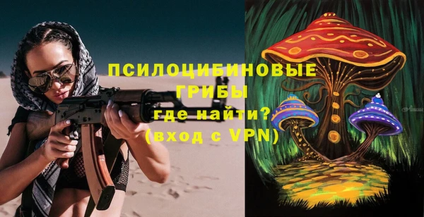 spice Ступино