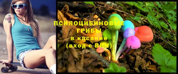 ГАЛЛЮЦИНОГЕННЫЕ ГРИБЫ Арсеньев