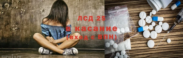 ГАЛЛЮЦИНОГЕННЫЕ ГРИБЫ Арсеньев