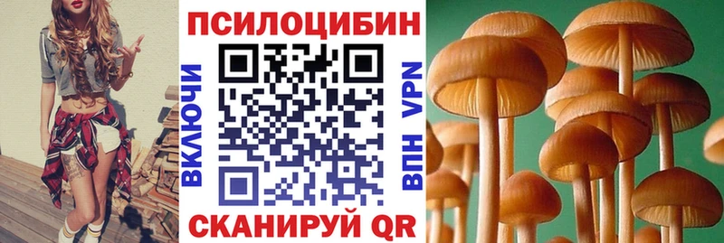 blacksprut онион  Арск  Галлюциногенные грибы ЛСД 